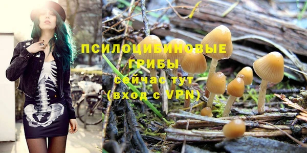 бутират Богданович