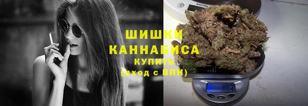 бутират Богданович