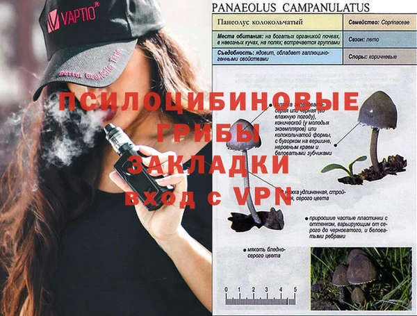 бутират Богданович