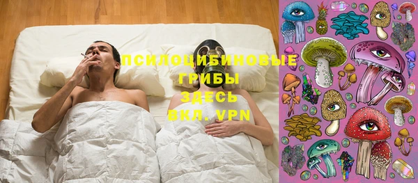 первитин Богородск