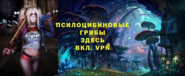 скорость Белокуриха