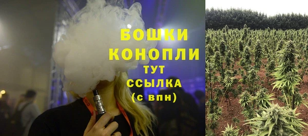 скорость Белокуриха