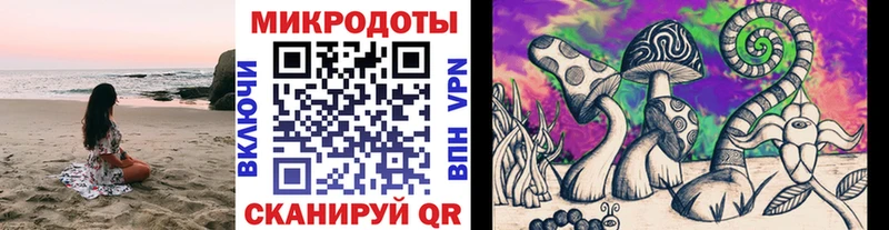 Псилоцибиновые грибы мицелий Кушва